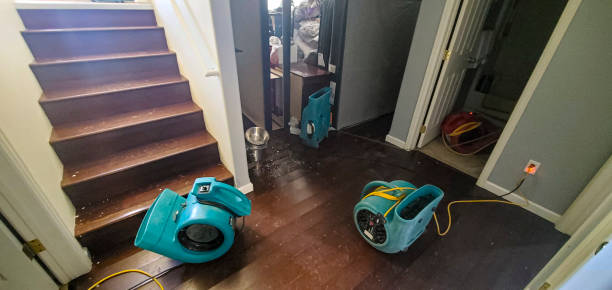 Best Carpet water damage restoration  in Crofton, MD