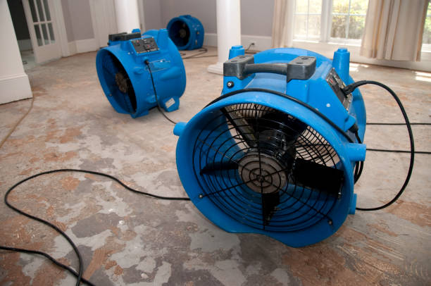 Best Basement water damage restoration  in Crofton, MD