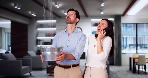 Best Water damage contractors near me  in Crofton, MD