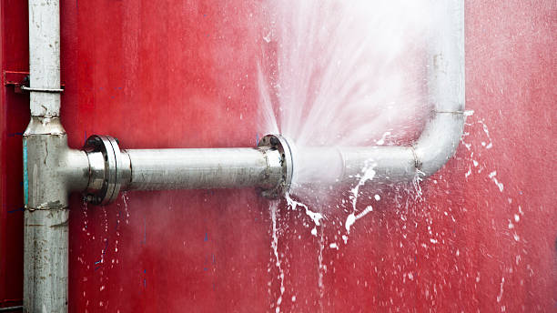 Best Local water damage restoration  in Crofton, MD